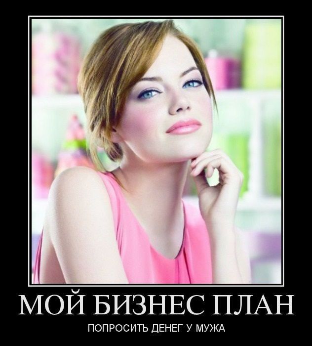 МОЙ БИЗНЕС ПЛАН попросить ДЕНЕГ у мухи