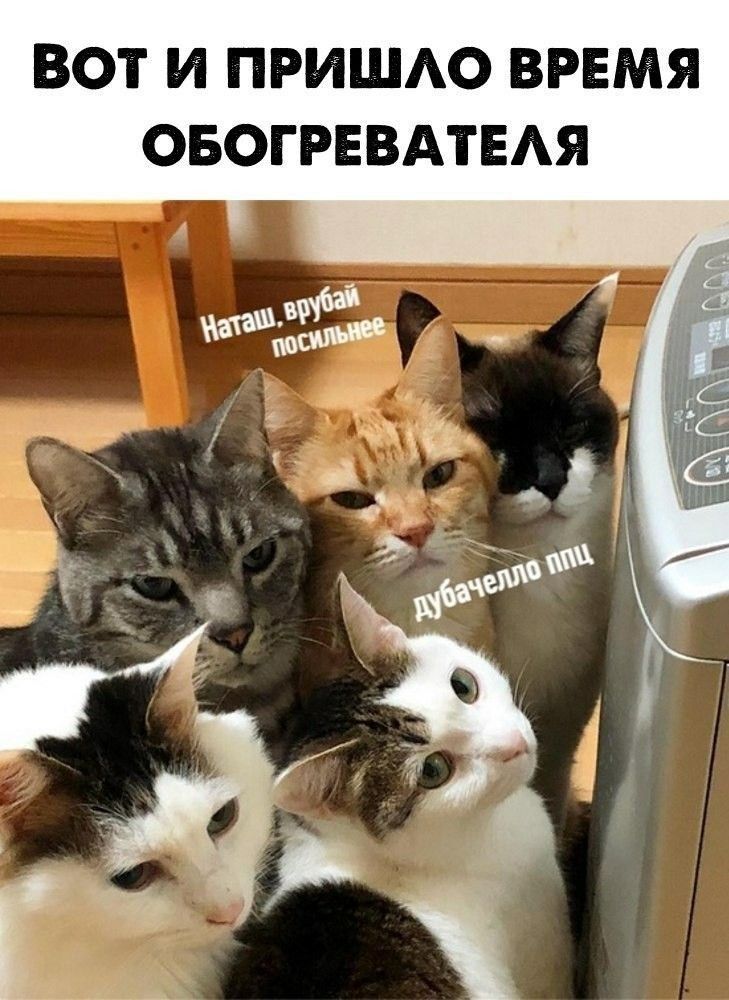 ВОТ И ПРИШАО ВРЕМЯ ОБОГРЕВАТЕАЯ