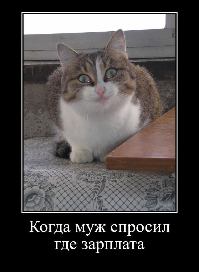 Когда муж спросил где зарплата