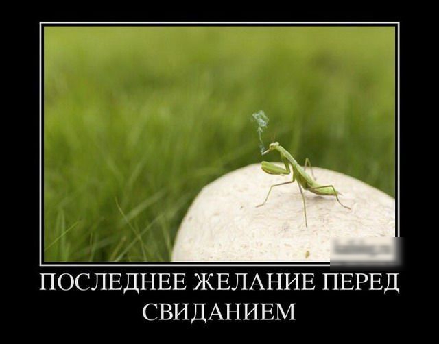 ПОСЛЕДНЕЕ ЖЕЛАНИЕ ПЕРЕД СВИДАПИЕМ