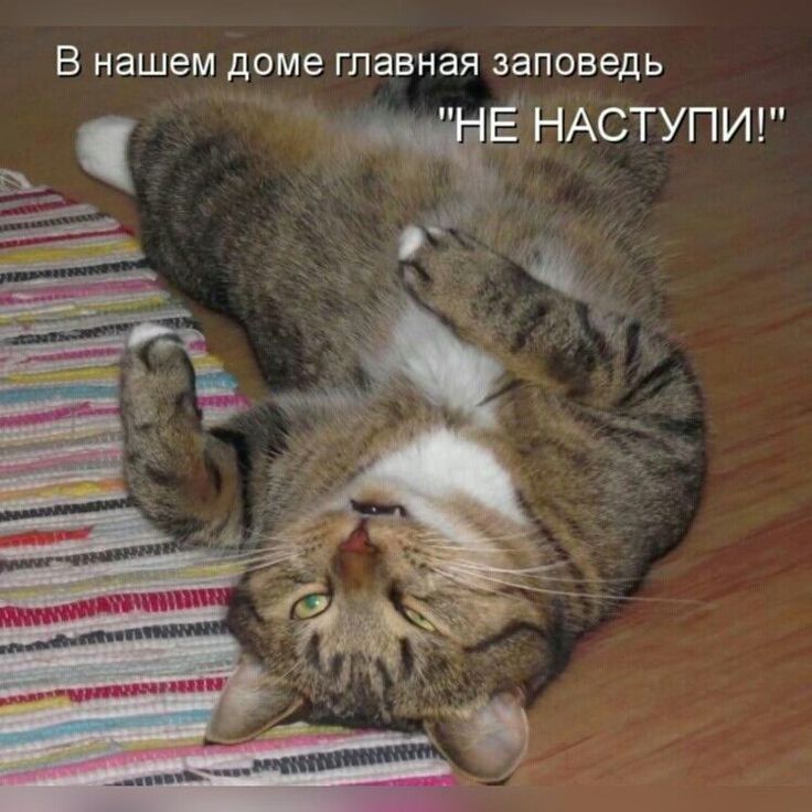 В нашем доме главная заповедь ЕНАСТУПИ 19 9 _ ЁЁ