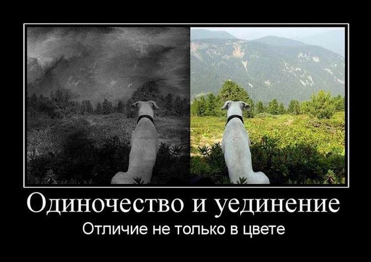 Одиночество И уединени ОТЛИЧИЕ не ТОЛЬКО В цвете