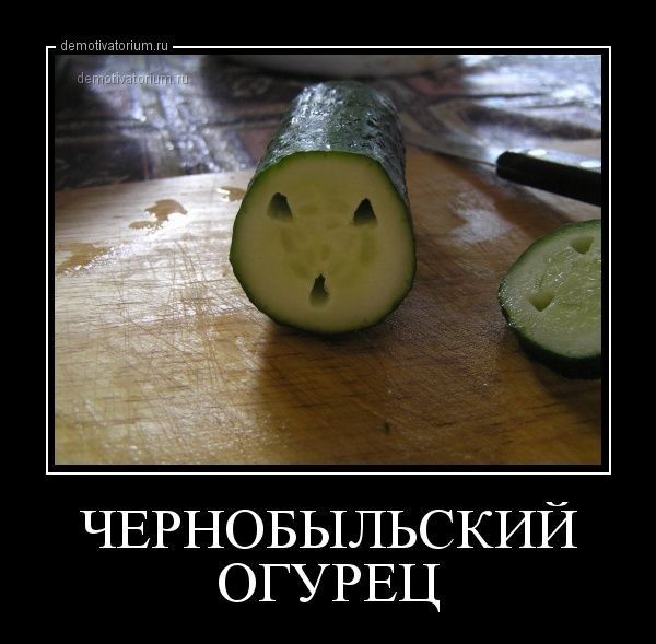 чвгновыльский ОГУРЕЦ