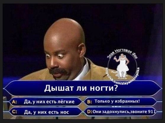 д ат пи иогги ___ _