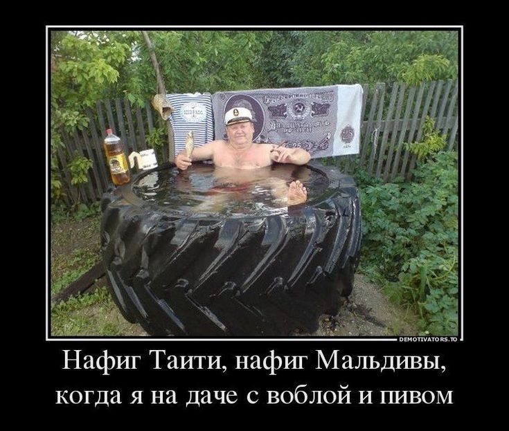 ивы когда я на даче с воблой и пивом