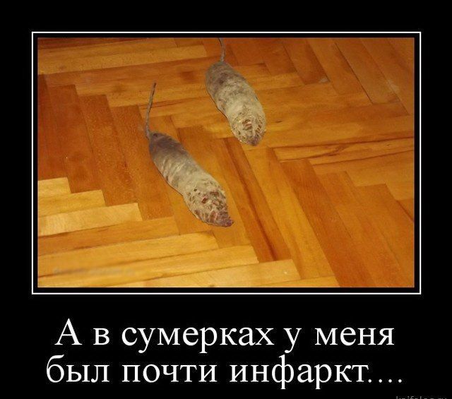 А в сумерках у меня был почти инфаркт