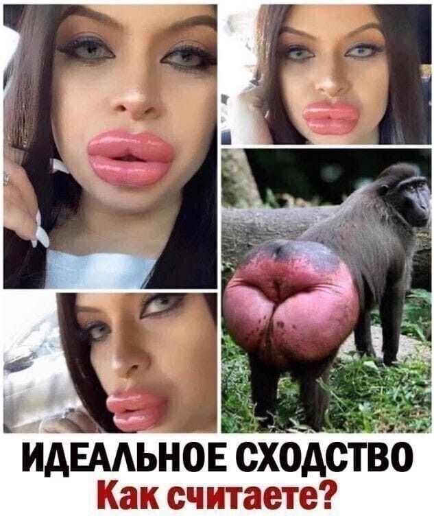 ИДЕААЬНОЕ сходство Как считаете