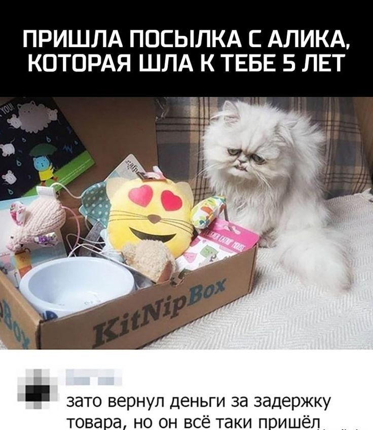 ПРИШЛА ППСЫЛКА АЛИКА КОТОРАЯ ШЛА К ТЕБЕ 5 ЛЕТ _ зато вернул деньги за задержку товара но он всё таки пришёл