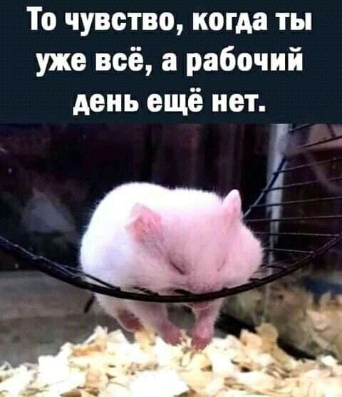 То чувство когда ты уже всё рабочий день ещё нет
