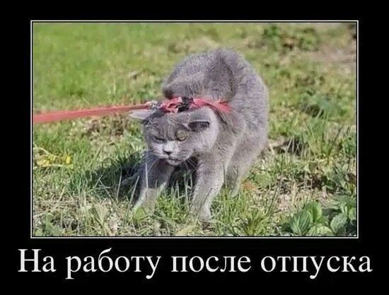 На работу после отпуска