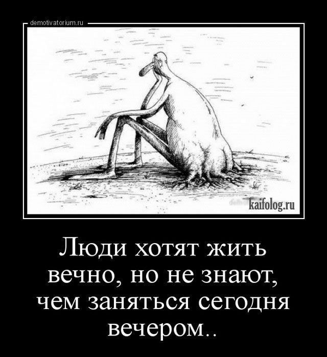 Люди хотят жить вечно но не знают чем заняться сегодня вечером
