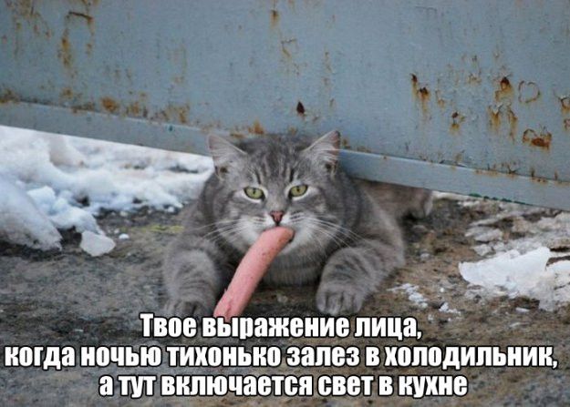 д Твое ПЬШВЖВПИЕ ЛИЦЕ ниша ночью ИШШЫШ запев ШШШДИПМШК ШШЮЧЯВПЖ 2881 6