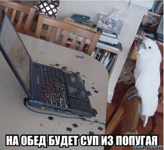 НА ОБЕД БУДЕТСУП