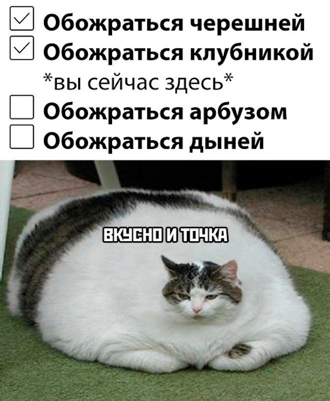 Обожраться черешней Обожраться клубникой _ вы сейчас здесь _ Обожраться арбузом _ Обожраться дыней