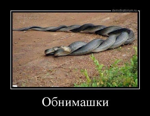 Обнимашки