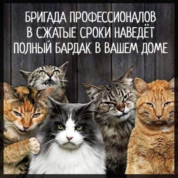 БРИГАДА ПРОФЕССИОНАЛ9В в СЖАТЫЕ сроки НАВЕДЕТ полныи БАРДАК в ВАШЕМ домг