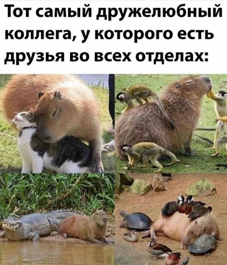 Тот самый дружелюбный коллега у которого есть друзья во всех отделах
