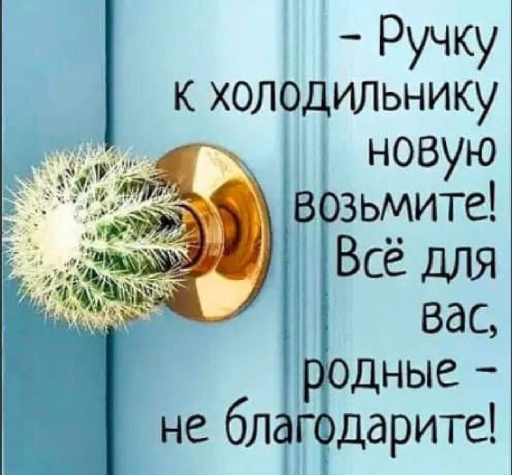 Ручку к холодильнику новую возьмите Всё для ёк ВдС Родные не благодарите