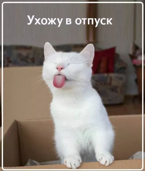 Ухожу в отпуск