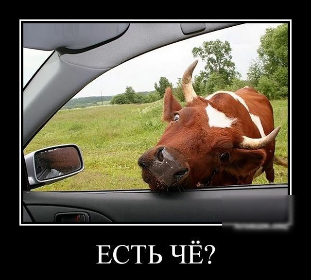 ЕСТЬ ЧЁ