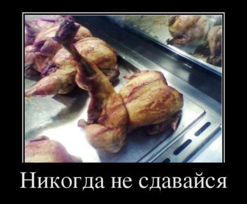 Никогда не сдавайся