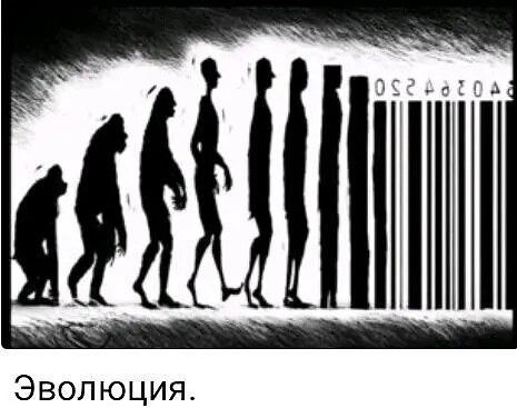 Эволюция