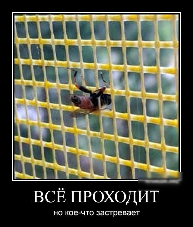 ВСЁ проходит но коечто застревает