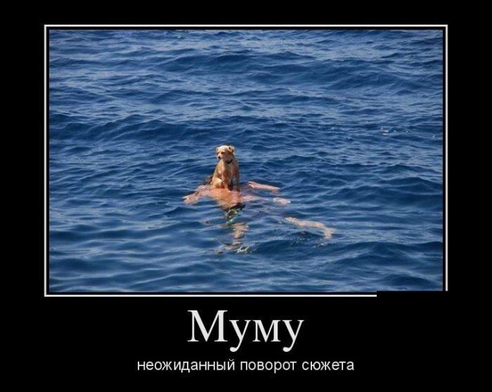 тжщяииып творог сши