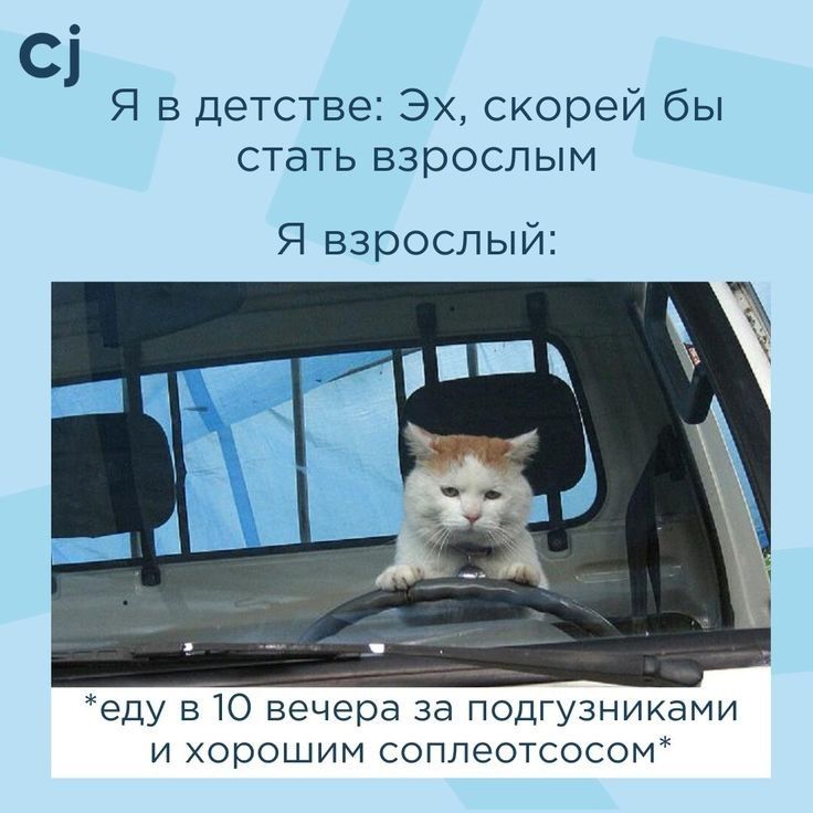 Я в детстве Эх скорей бы стать взрослым Я взрослый еду в Ю вечера за подгузниками и хорошим соппеотсосом