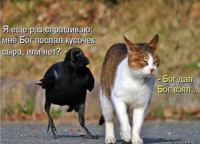 _ іі Бог дал Биг залп