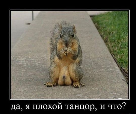 да я плохой танцор и ч