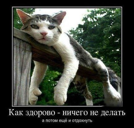 Как ЗДОРОВО НИЧЕГО не делать а потом еще и отдохнуть