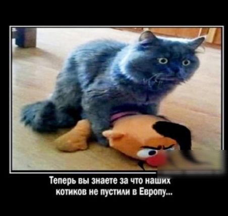Теперь вы више за чт наших кшиш не пустит и Европу