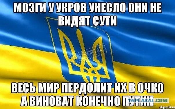 ЦИИЗТИ УУИР0 УИЕШШ ПИИ ИЕ ИИдИТ УТИ ШП ТИВИЕЧИП