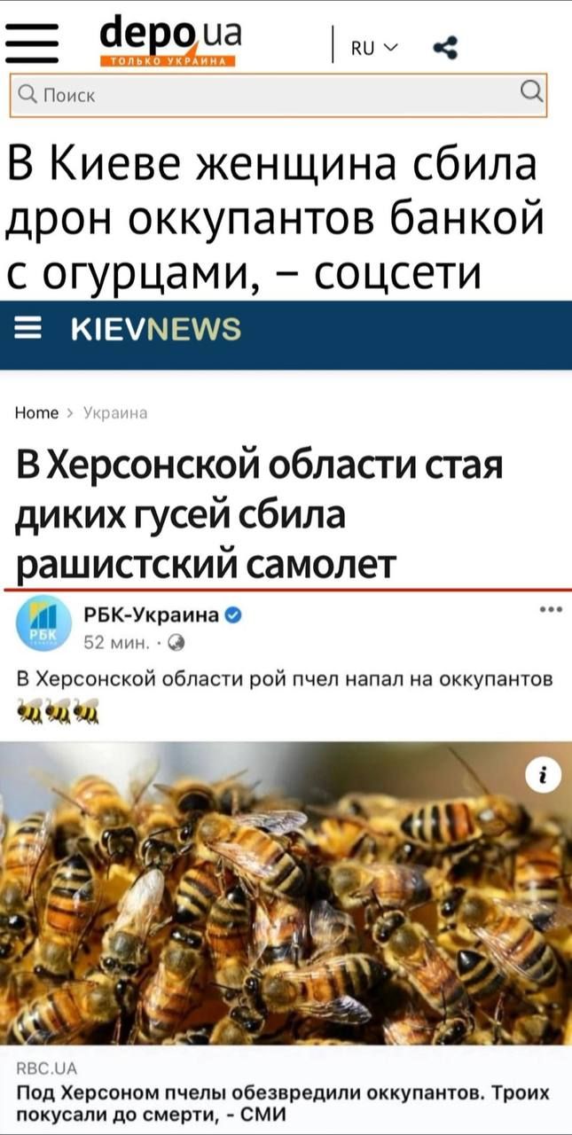 аеро на СКПоиск В Киеве женщина сбила дрон оккупантов банкой с огурцами соцсети Е КЕМЕ5 Ноте В Херсонской области стая диких гусей сбила рашистский самолет РБК Украинао П2 мин д В Херсонской области рой пчел напал на оккупантов нпс НА Под Херсоном пчелы обезвредили оккупантов Троих покусали до смерти СМИ