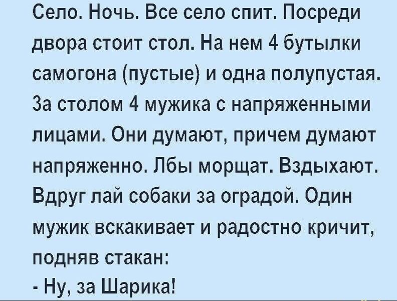 Село Ночь Все село спит Посреди двора стоит стол На нем 4 бутылки самогона пустые и одна полупустая За столом 4 мужика с напряженными лицами Они думают причем думают напряженно Лбы морщат Вздыхают Вдруг пай собаки за оградой Один мужик вскакивает и радостно кричит подняв стакан Ну за Шарика