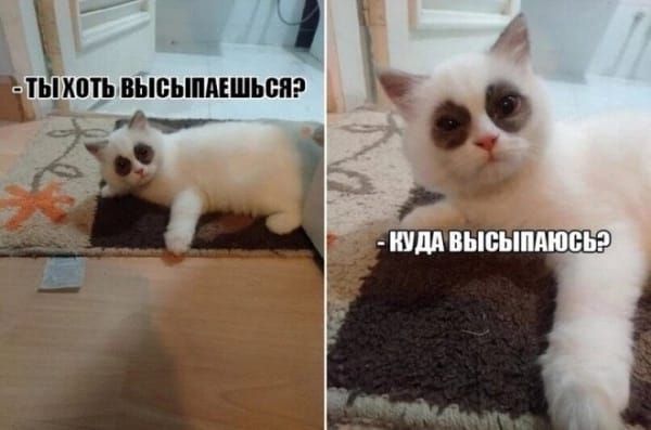 СЬКПП ВЫСЫПАЕШЬСЯ ивтаи