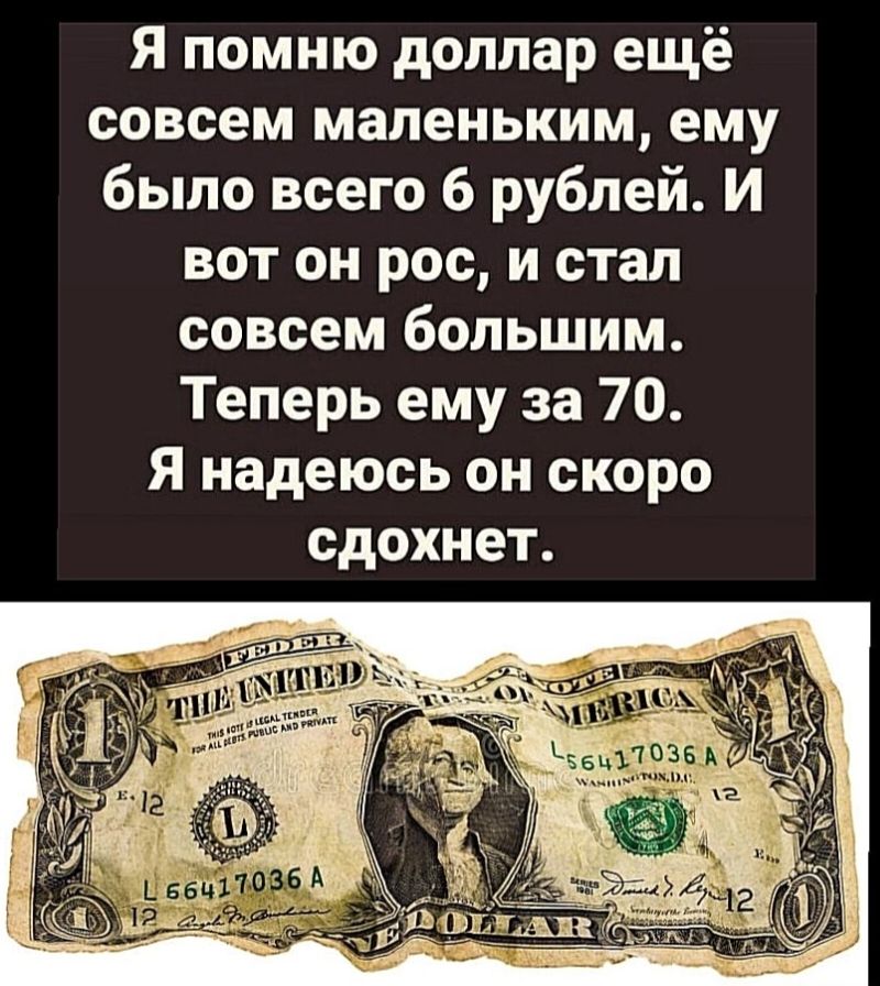 Я помню доллар ещё совсем маленьким ему было всего 6 рублей И вот он рос и стал совсем большим Теперь ему за 70 Я надеюсь он скоро сдохнет