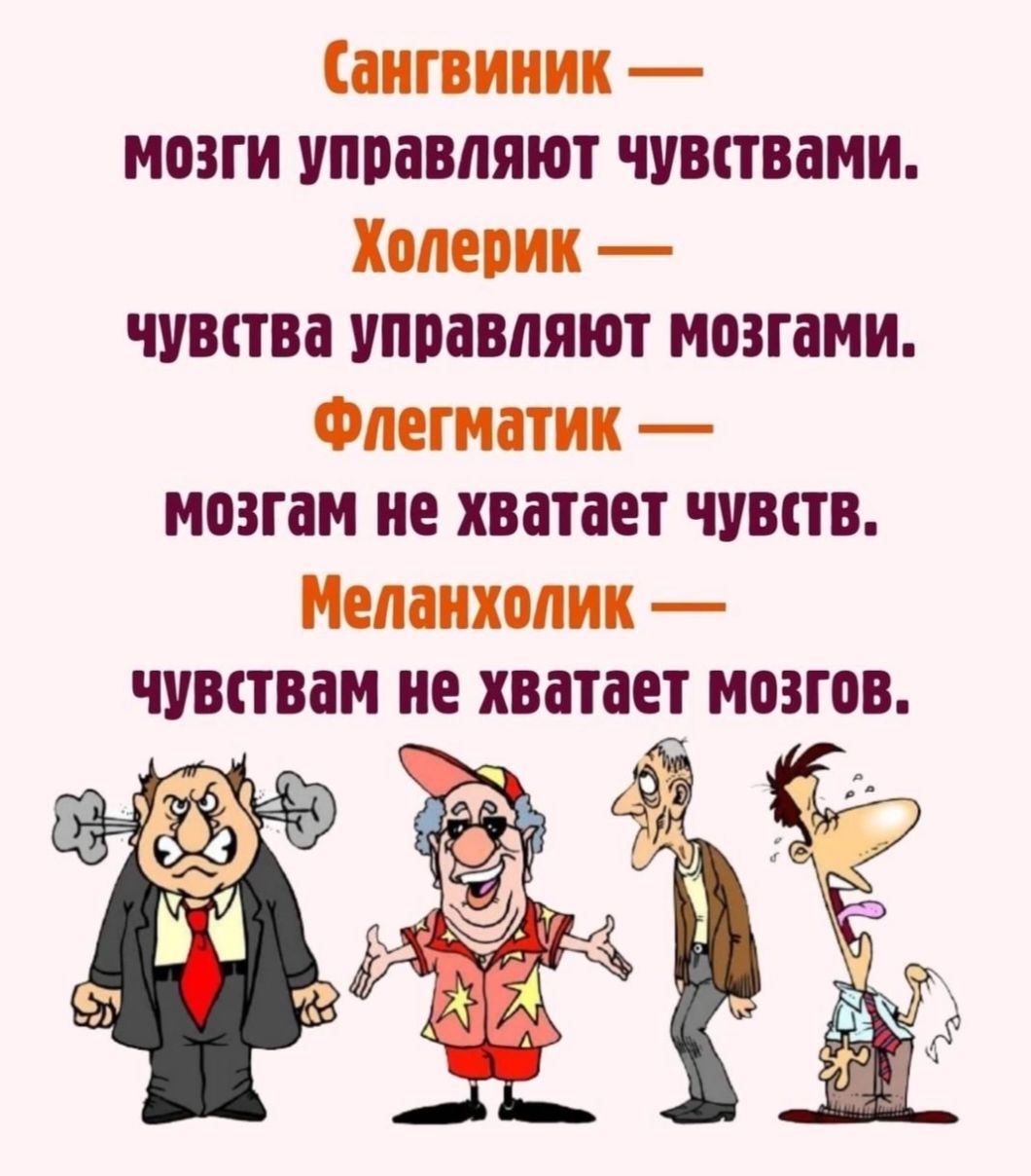 пипииик мозги управляют чувствами Холерик чувства уппавляют мозгами Метшин мозгам не хватает чуши Шихади чувствам не хватает мозгов