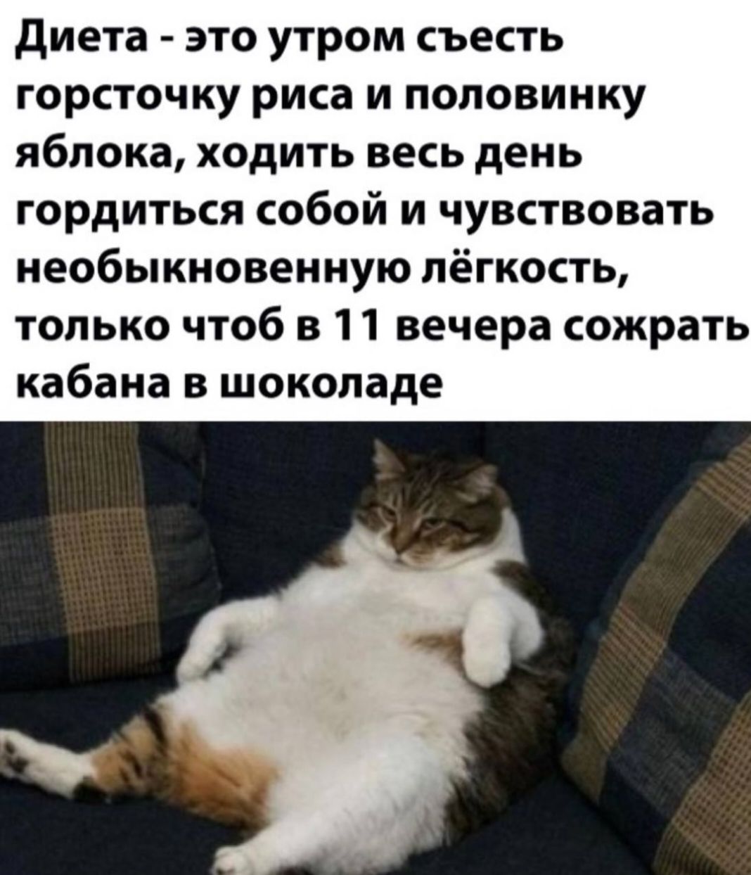 диета это утром съесть горсточку риса и половинку яблока ходить весь день гордиться собой и чувствовать необыкновенную лёгкость только чтоб в 11 вечера сожрать кабана в шоколаде