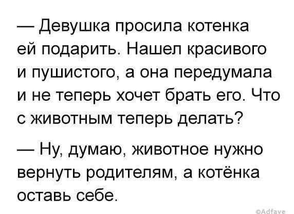 Девушка просила котенка ей подарить Нашел красивого и пушистого а она передумала и не теперь хочет брать его Что с животным теперь делать Ну думаю животное нужно вернуть родителям а котёнка оставь себе