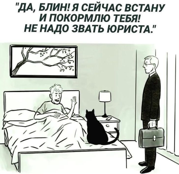 ДА БЛИН Я СЕЙЧАС ВСТАНУ И ПОКОРМЛЮ ТЕБЯ НЕ НАДО ЗВАТЬ ЮРИСТА