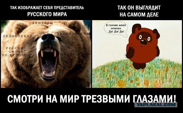 ш изивгшпсіп пгцппищь к он выглядит русского мим ид стом дык ЗМ СМОТРИ НА МИРТРЕЗВЫМИ
