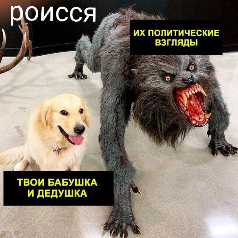 ИХ ПОПИУИЧЕСКИЕ ВЗГЛЯДЫ твои БАБУШКА и дедушкд