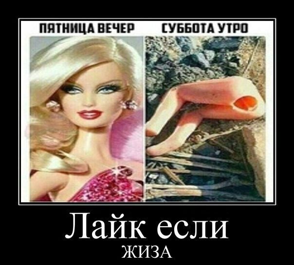 ПЯШИЦА ВЕЧЕР УББПТА УТРП Пайк если ЖИЗА