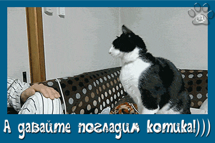 а эш ид 14