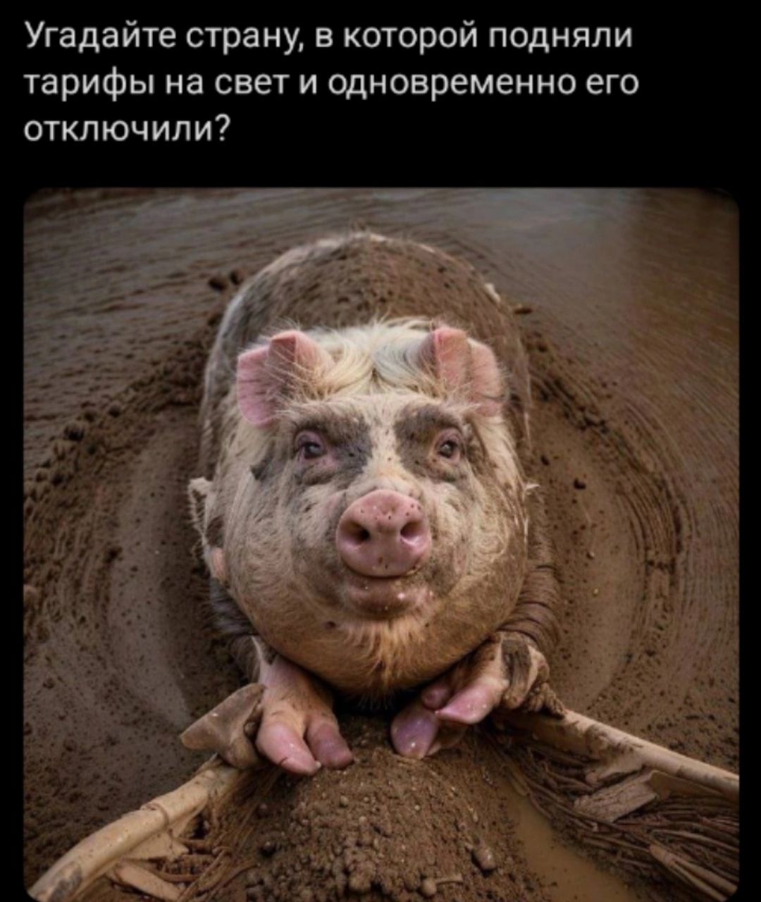 Угадайте страну в которой подняли тарифы на свет и цдновременно его отключили