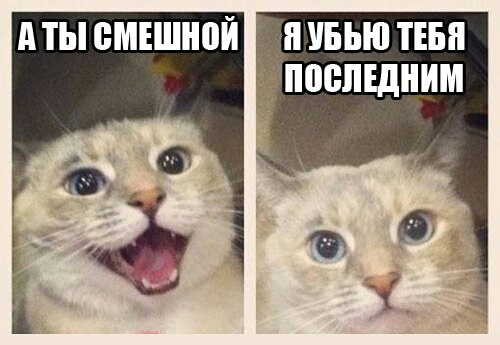 _п УБЪЮ ТЕБЯ ПЩШЕДНИМ
