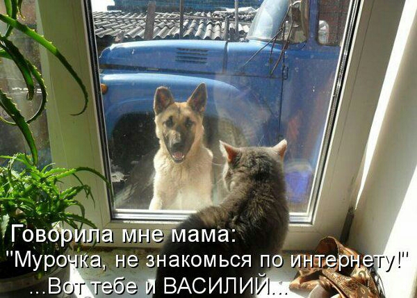 Говб511і7а_г мнёмама Муро а не знакомься по инше е гибдд ВАСИЛИ