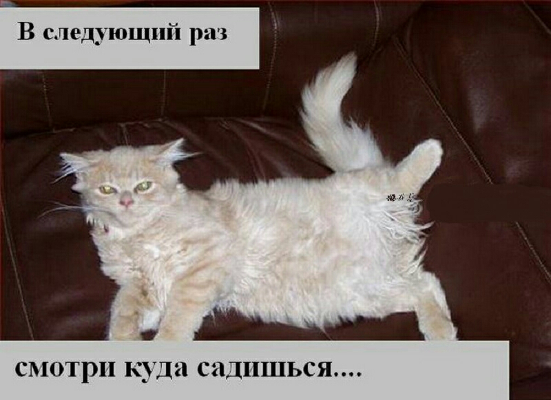 В следующий раз СМОТРИ куда С1Д11ШЬСЯ